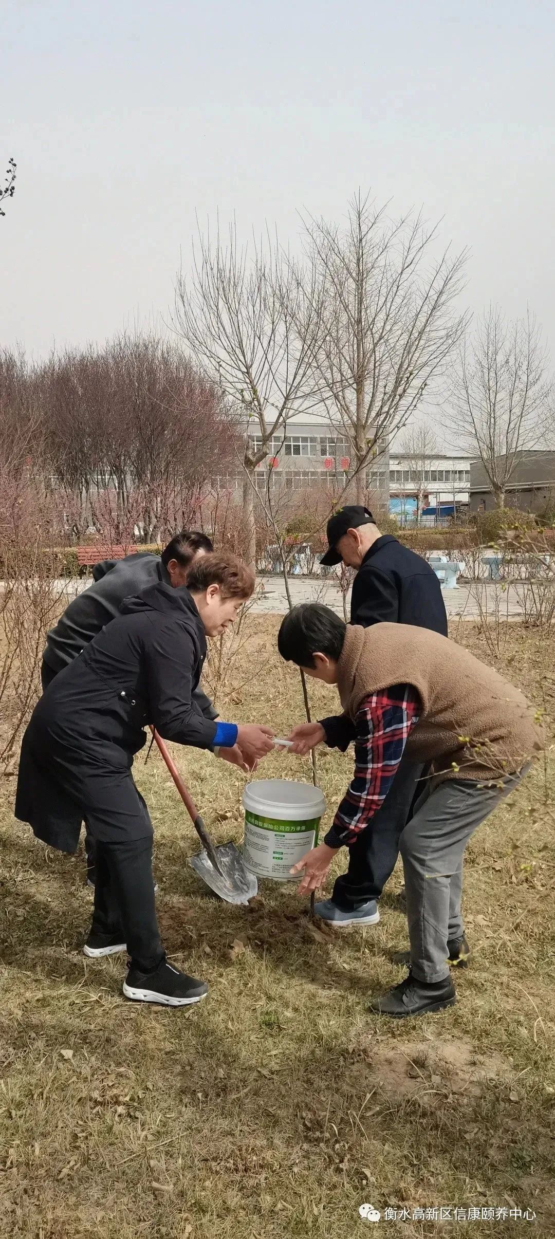 信康养老的植树节