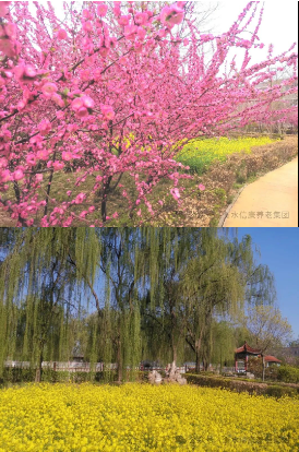 信康的优美、优美的信康
