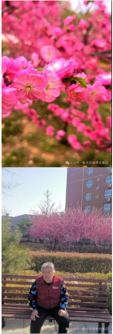 信康的优美、优美的信康