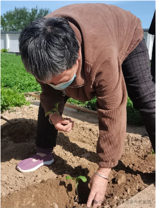 信康养老·燕园里独吞的青春回忆---快乐菜园