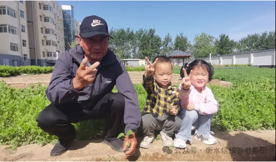 信康养老·燕园里独吞的青春回忆---快乐菜园