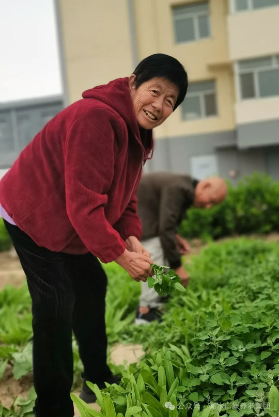 来信康养老·燕园，，，种小小菜园，，，走进晚年乐园！