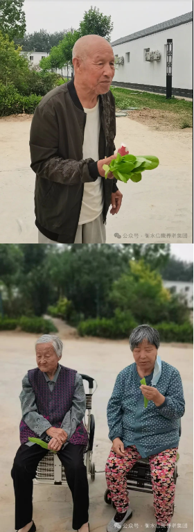 来信康养老·燕园，，，种小小菜园，，，走进晚年乐园！