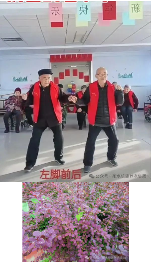 来信康养老 斜阳更优美