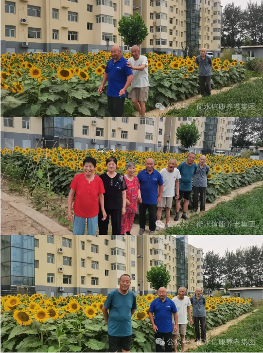 来信康养老·燕园，，，，，与老人共赴优美时光