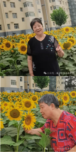 来信康养老·燕园，，，，，与老人共赴优美时光