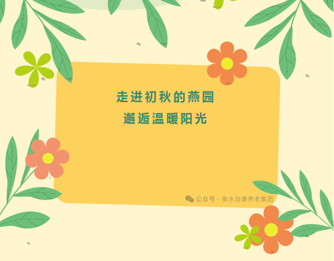 走进初秋的燕园，，，，，邂逅温暖阳光