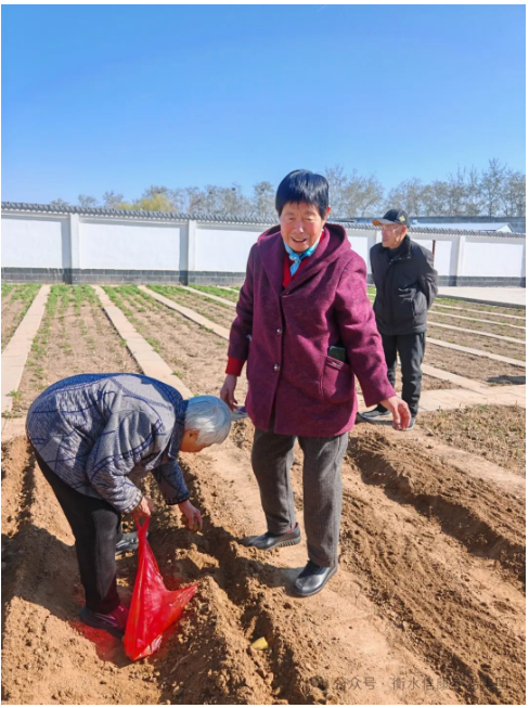 信康养老·燕园里的小菜园：耕作中的晚年欢歌