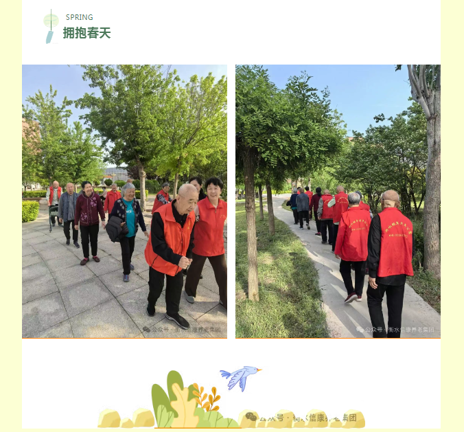 信康奇异的老“游”所乐、不负春光