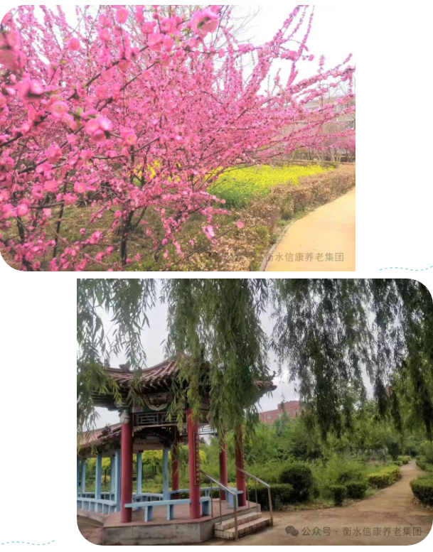 信康奇异的老“游”所乐、不负春光