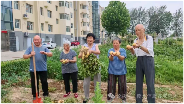 秋实满园，，乐享“丰”景---信康养老·燕园小菜园丰收季