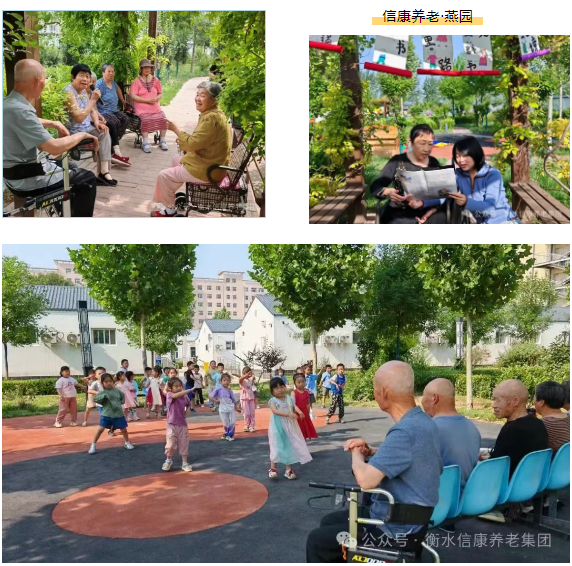 走进衡水信康养老·燕园，，，体验纷歧样的养老生涯---平房小院，，，乐享悠然