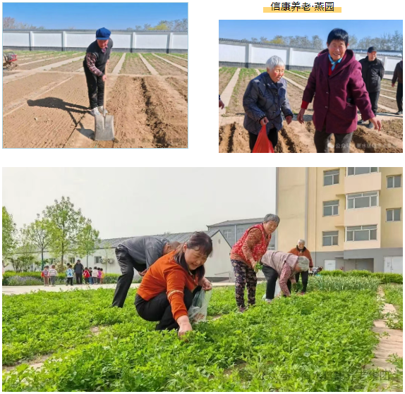 走进衡水信康养老·燕园，，，体验纷歧样的养老生涯---平房小院，，，乐享悠然