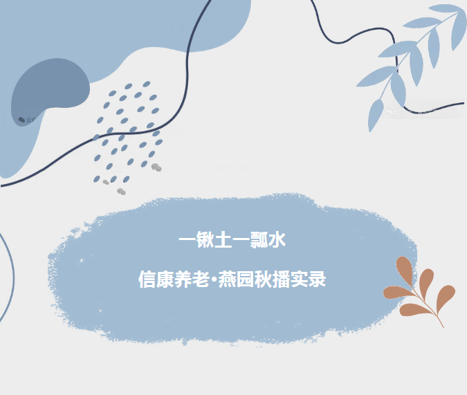 一锹土一瓢水/ 信康养老·燕园的秋播实录