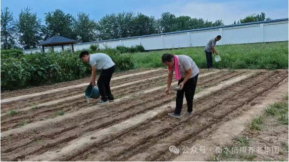 一锹土一瓢水/ 信康养老·燕园的秋播实录