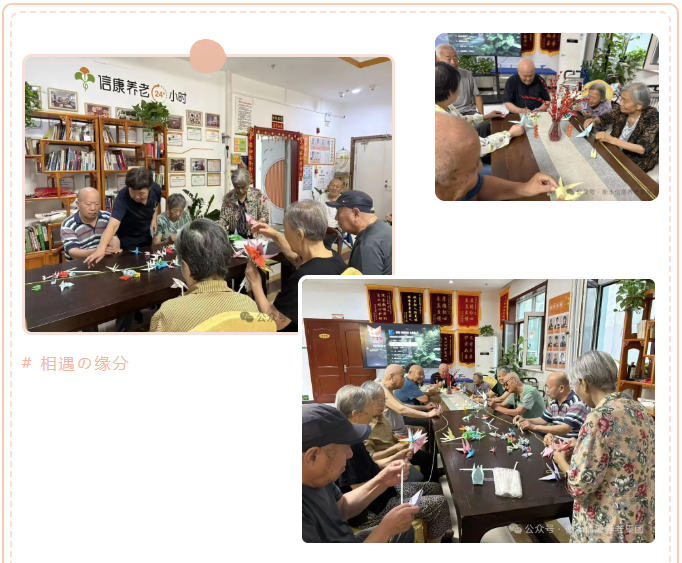 银龄巧手，，，鹤寄温情